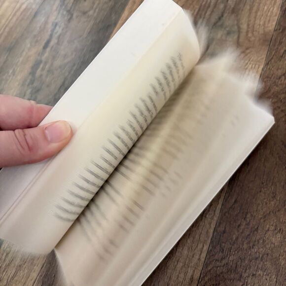 The Legend of Jimmy Spoon Book by Christiana Gregory fair used condition - Picture 5 of 6